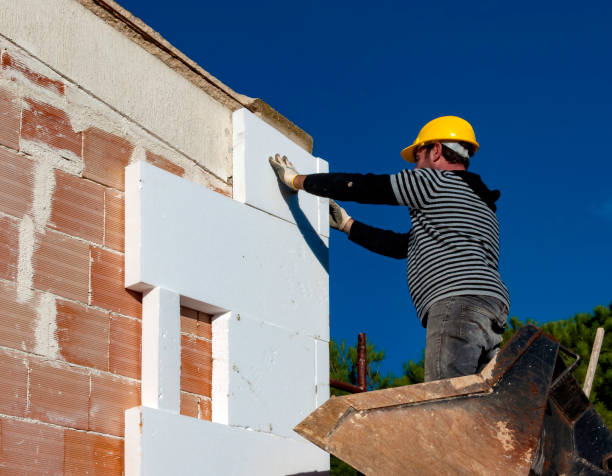 Best Eco-Friendly Insulation in Port Neches, TX