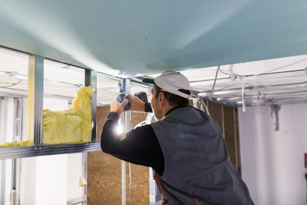 Types of Insulation We Offer in Port Neches, TX