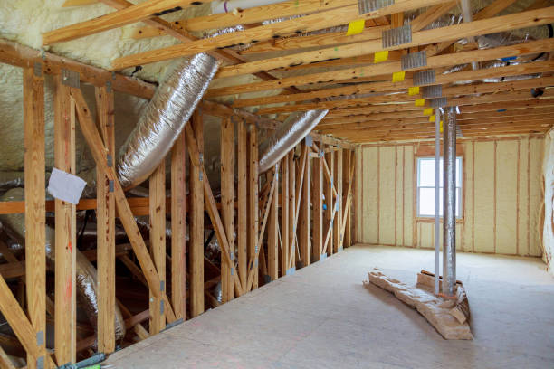 Best Geographic-Specific Insulation Services in Port Neches, TX