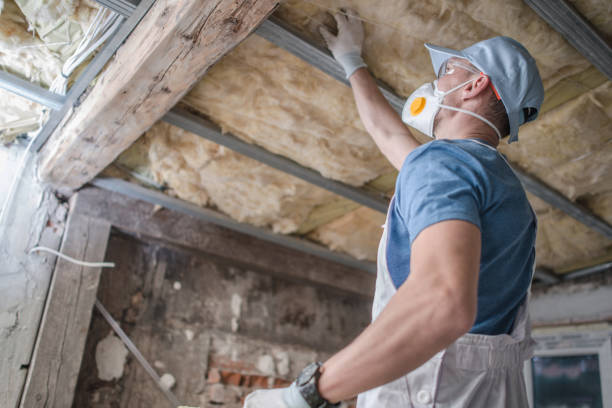 Best Residential Insulation in Port Neches, TX