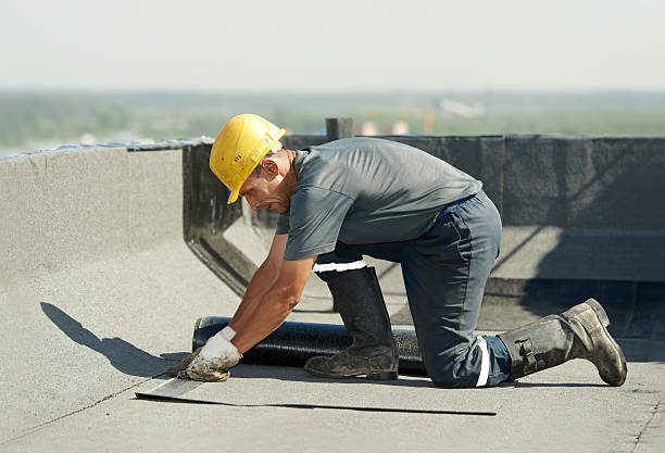 Best DIY Insulation Kits and Guidance in Port Neches, TX